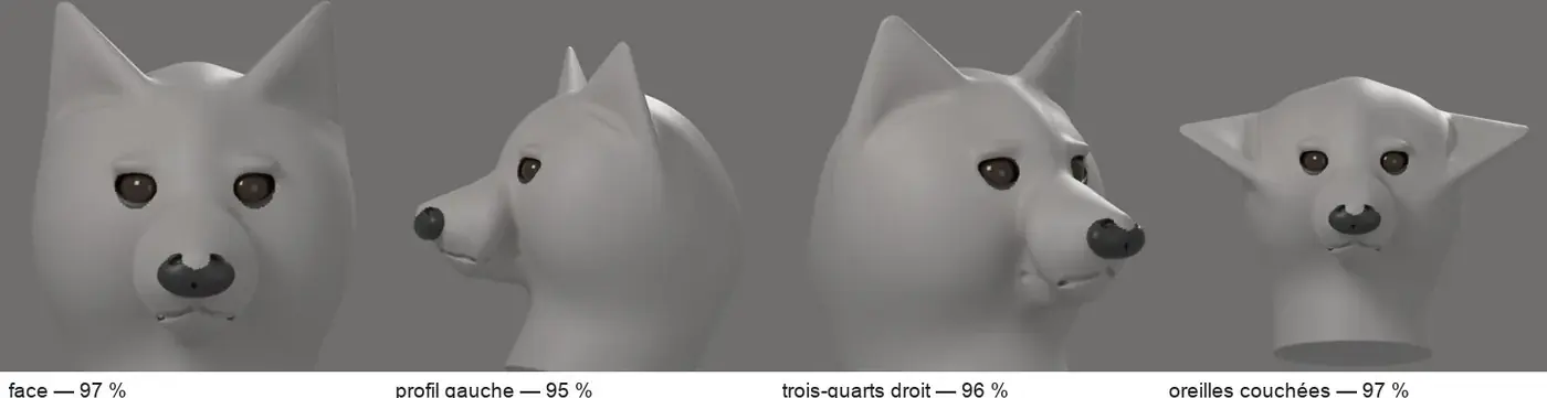 La tête grise avec ses détails, sous les caméras des images.