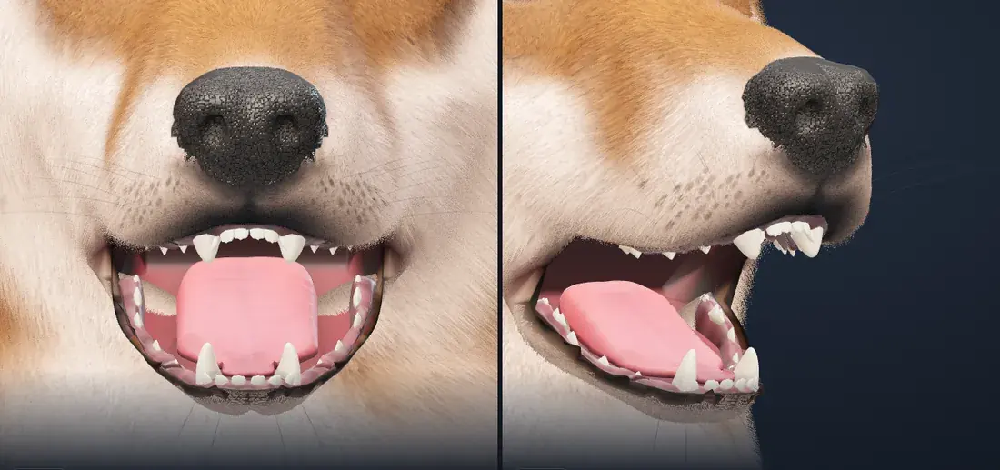 Les moustaches du menton descendent maintenant avec la mâchoire. Aucune capture de l'état précédent n'a été prise sous cet angle.