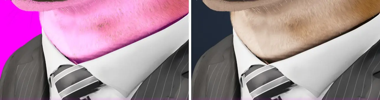 Avec un fond de page magenta : avant, il se voit à travers la fourrure du cou ; après, plus du tout.