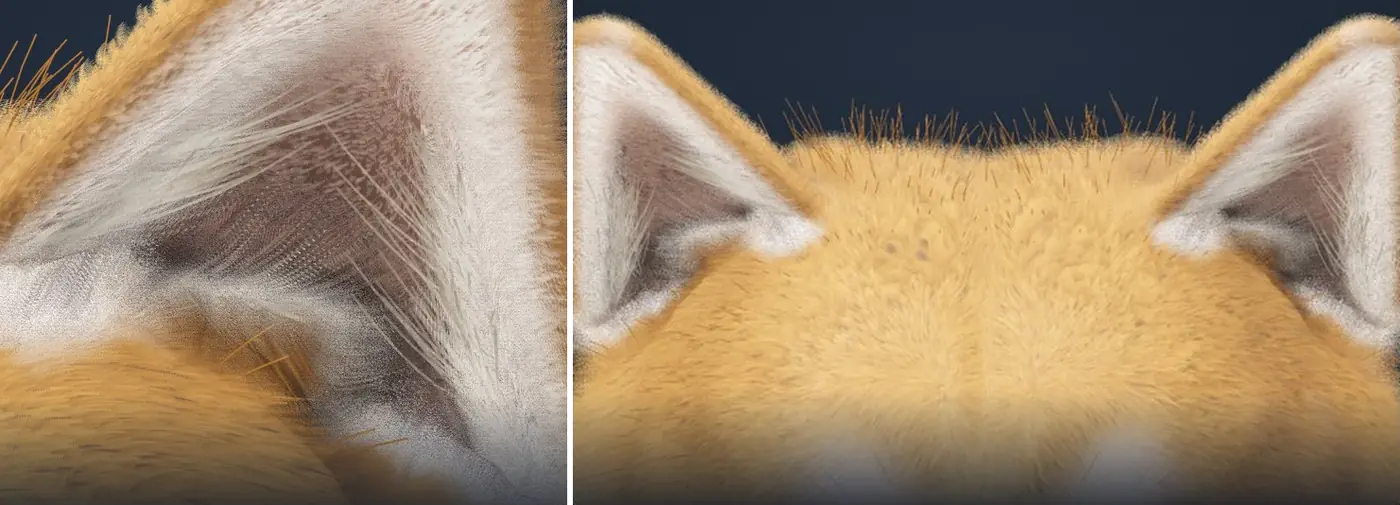 Les poils crème en bas et sur les côtés, de face et depuis le mode streamer.