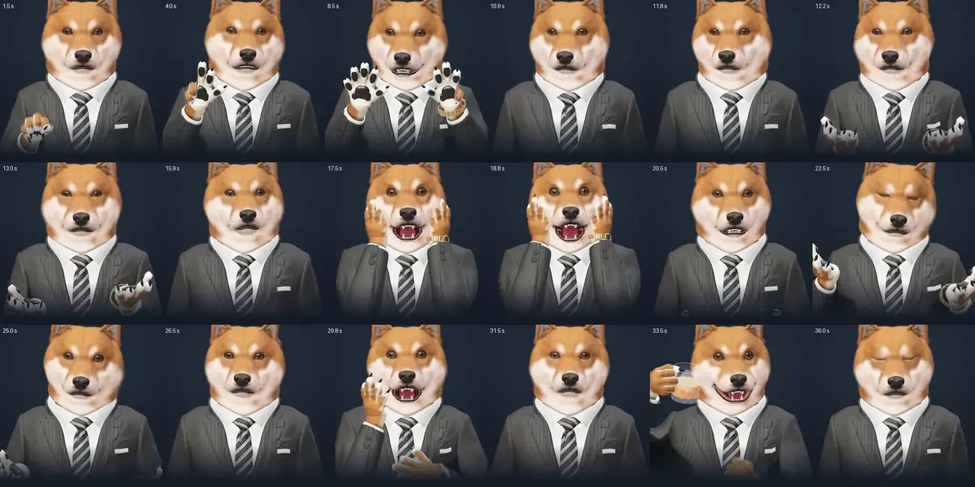 Images tirées de la vidéo, avec leur seconde.