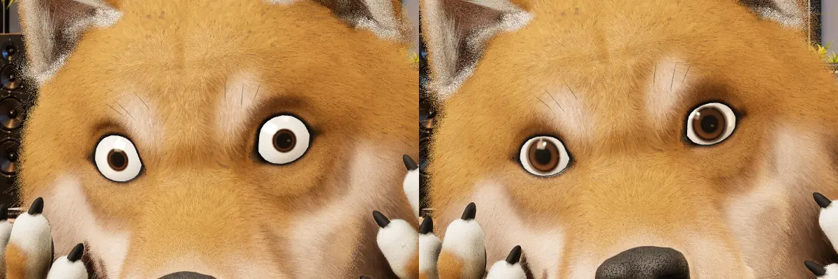 Les yeux écarquillés, avant et après : l'iris ne fond plus.
