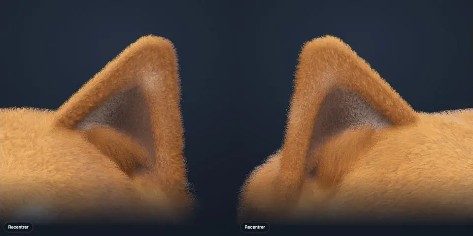Avant : un creux uniforme et une touffe rousse à la base.