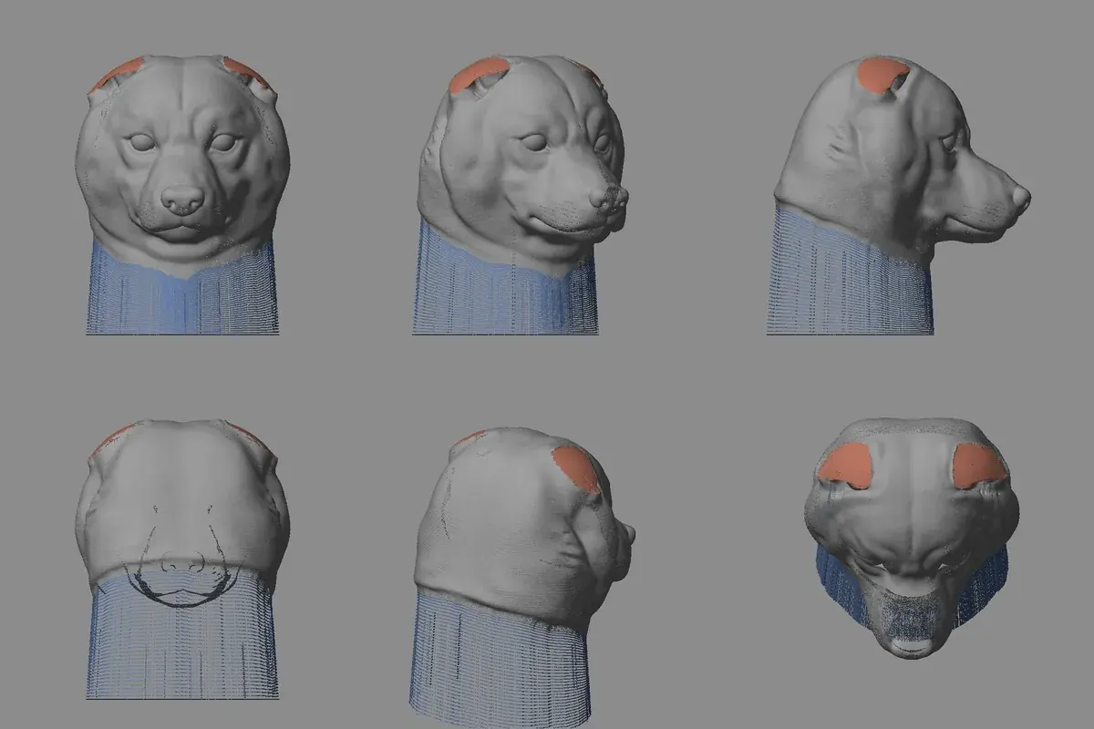 Le buste préparé : costume retiré, cou prolongé (bleu), emplacement des oreilles effacées (orange).