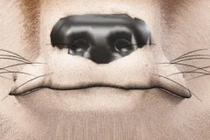 20,0 h · bourrelets, l'impasse