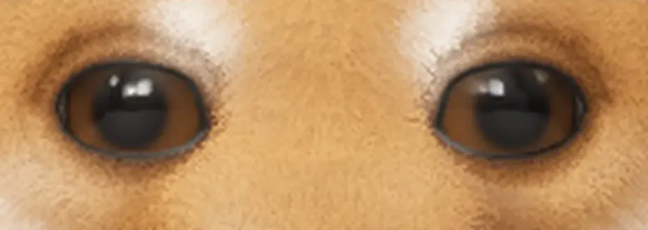Les yeux du rendu : liseré affiné, reflet de fenêtre.